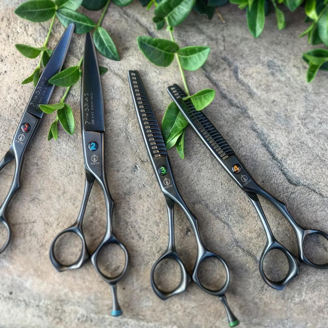 Mizutani Scissors Set