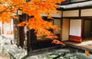 Osaka, Japan – Japanese Head Spa Certification Course | Takara Belmont Yume Method Training by Eikonic Academy
