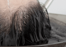Japanese HeadSpa Workshop In Person Course - Yume Certification Course by Takara Belmont