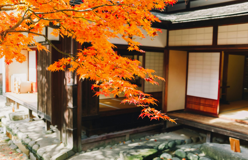 Osaka, Japan – Japanese Head Spa Certification Course | Takara Belmont Yume Method Training by Eikonic Academy