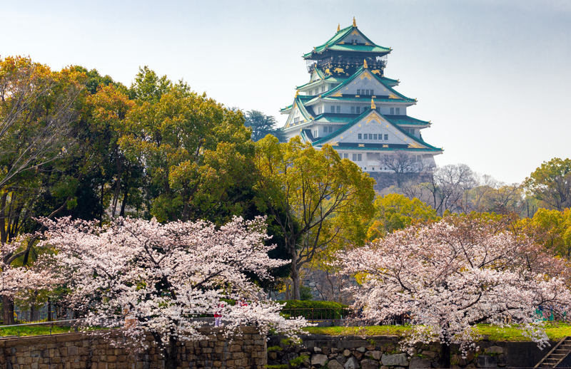 Osaka, Japan – Japanese Head Spa Certification Course | Takara Belmont Yume Method Training by Eikonic Academy