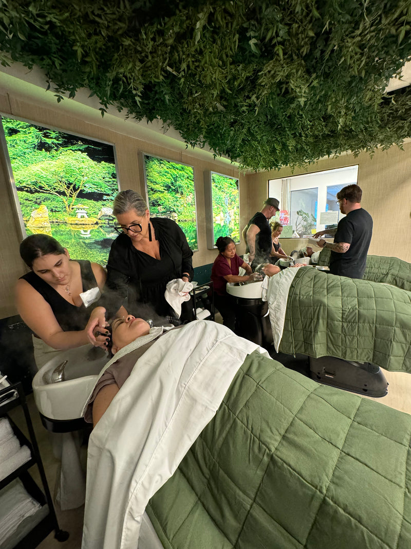 Luxurious European Head Spa Training Workshop: A Course on How to Start Offering Head Spa Services