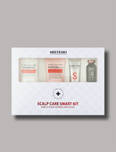 HISTEMO Scalp Care Smart Kit containing four hair and scalp care products visible through a clear window on a white gift box, set against a solid gray background.