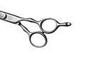 Mizutani BLACK-SMITH Matelite-Q Lite scissors in a professional setting, emphasizing their ergonomic fit for hair designers with hand fatigue.